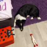 Pozdravy z nového domova: