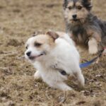 Pozdravy z nového domova: