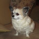 Pozdravy z nového domova: