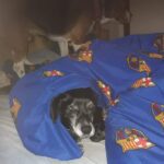 Pozdravy z nového domova: