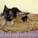 Pozdravy z nového domova: