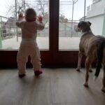 Pozdravy z nového domova: