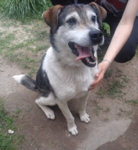 Pozdravy z nového domova: