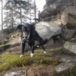 Pozdravy z nového domova: