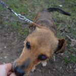 Ještě s oběma očima