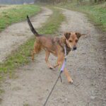 Ještě s oběma očima