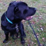 Pozdravy z nového domova: