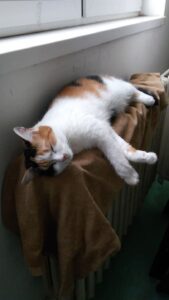 Pozdravy z nového domova: