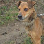 Ještě s oběma očima