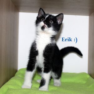 Erik