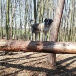 Pozdravy z nového domova: