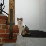 Pozdravy z nového domova: