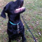 Pozdravy z nového domova: