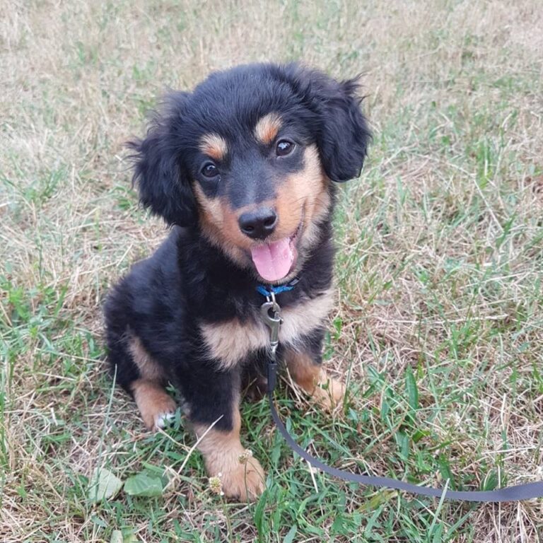 Bonnie