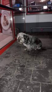 Kimina – nalezenec