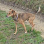 Ještě s oběma očima