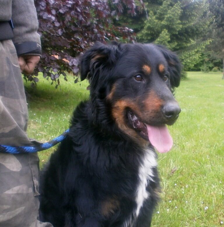 Monty