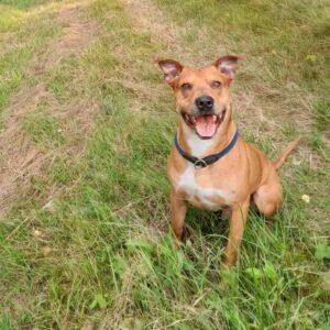 Hero – v doživotní péči azylu