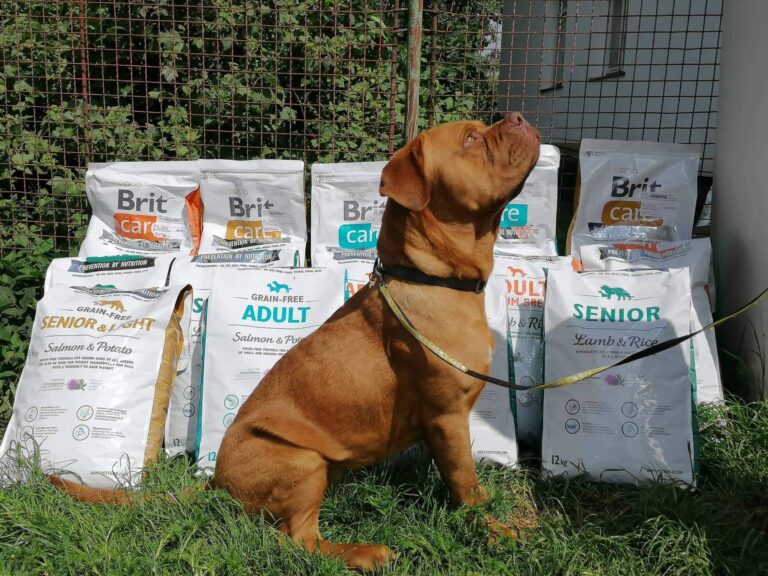 Poděkování – krmivo pro azyláčky