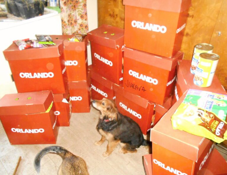 Poděkování – Lídl