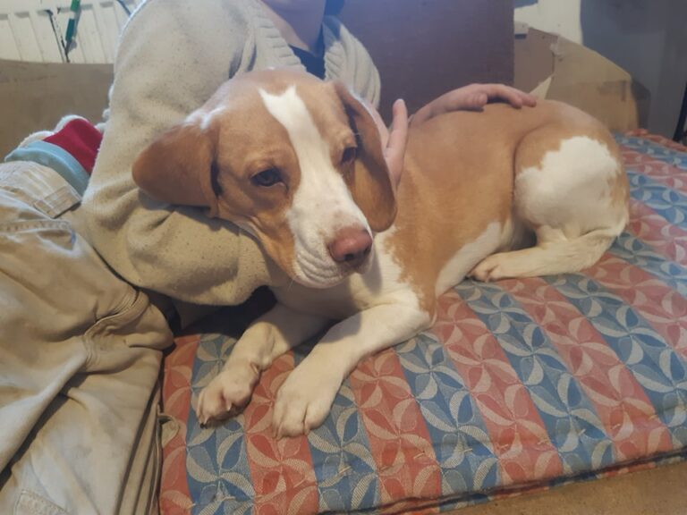Rayly