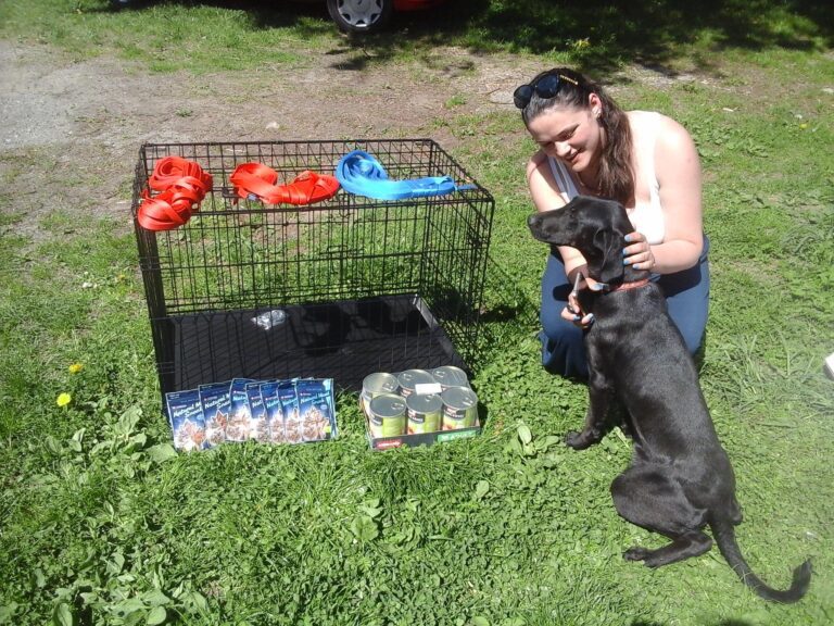 Poděkování – Stabil Energy s. r. o.