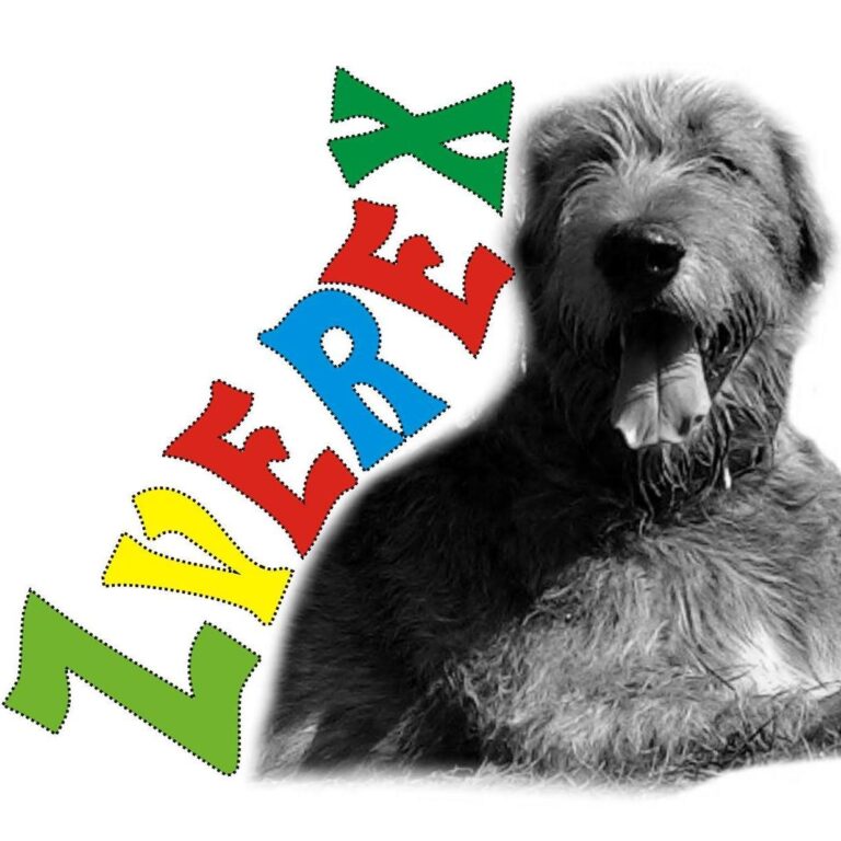 Poděkování – Zverex Pelhřimov