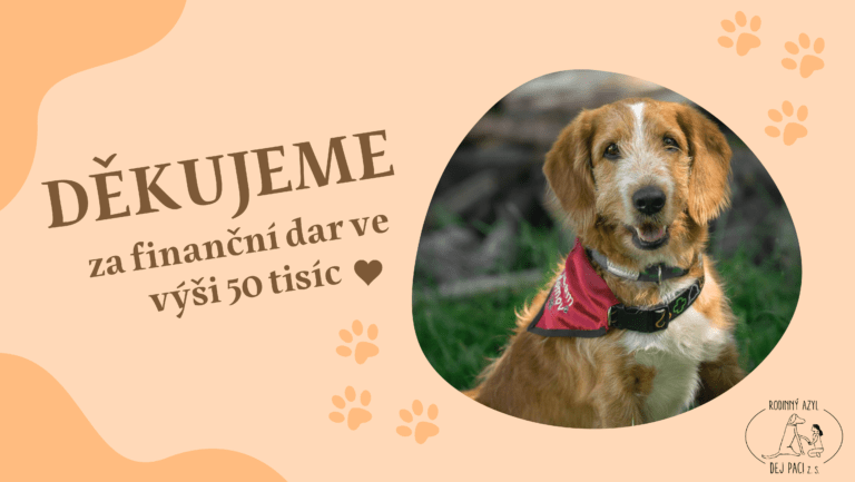 Poděkování – p. Hojsáková