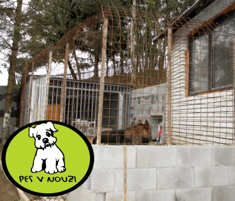 Poděkování – psí výběh a kotec